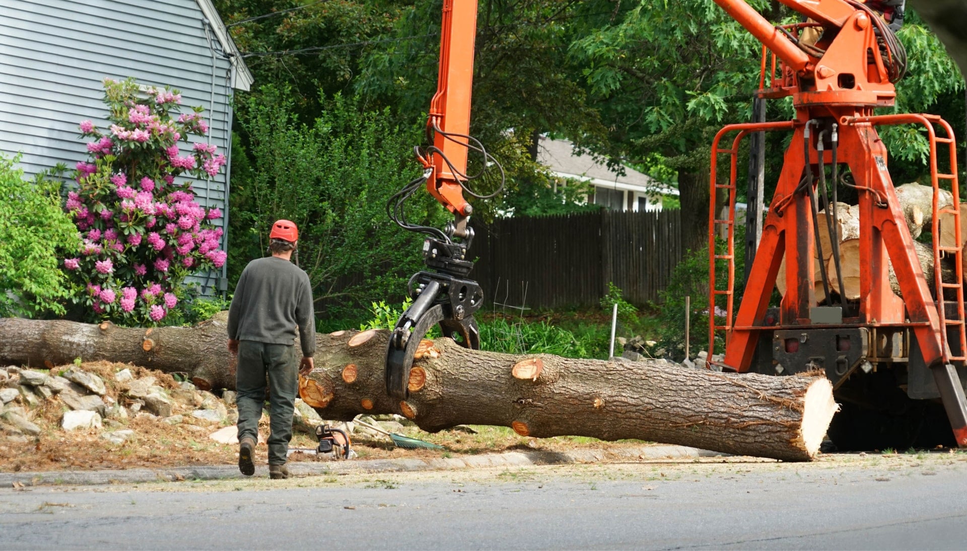 Local partner for Tree removal services in Fort Lauderdale